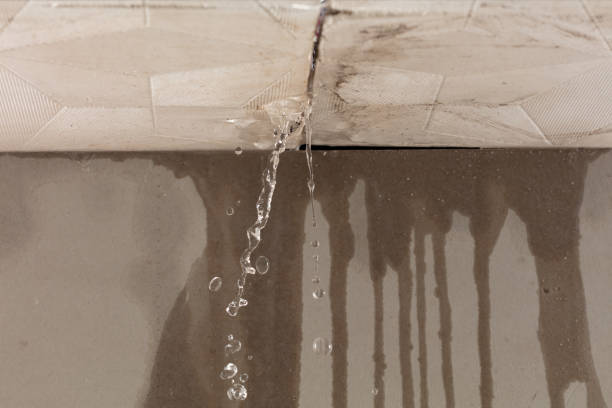 Professional Burst Pipe Cleanup technician working in Albany, OR